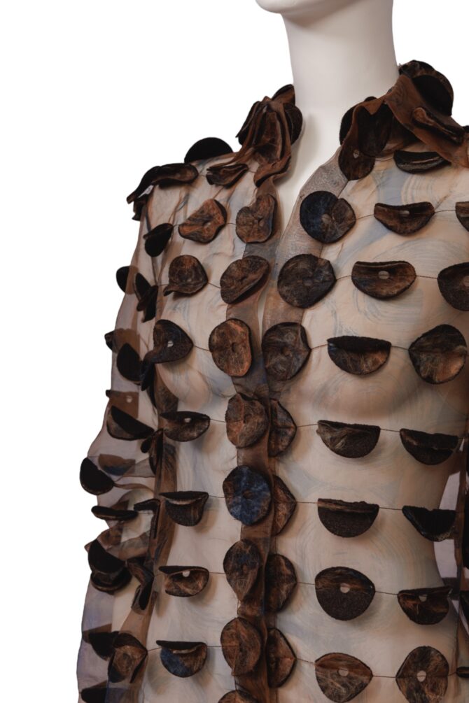Camisa apliques