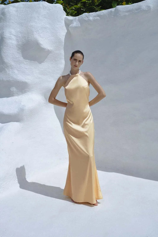 maxi dress Ambar